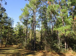 25872 Joseph Rd, Hockley, TX 77447