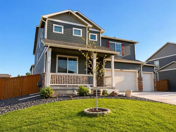 3725 Catmint St, Wellington, CO 80549