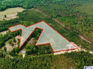 231 J C Barefoot Rd, Patrick, SC 29584
