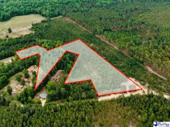 231 J C Barefoot Rd, Patrick, SC 29584