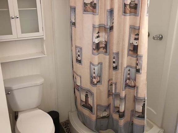 new shower and hiboy oval toilet