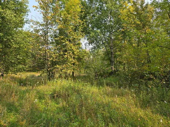 42206 County Highway 26, Rochert, MN 56578