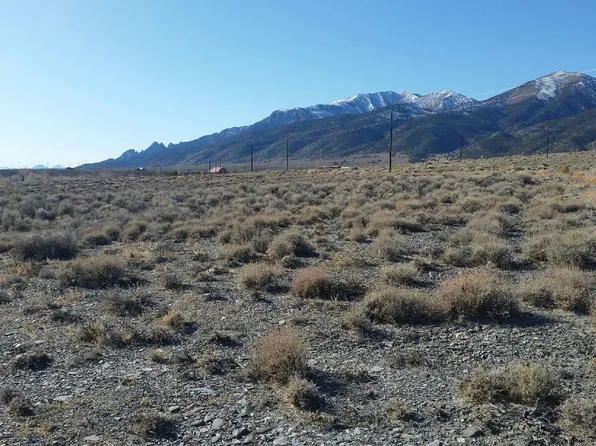 102 Ophir Rd, Kingston, NV 89310
