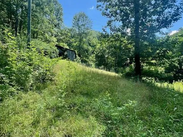 534 Long Branch Rd, Robbinsville, NC 28771