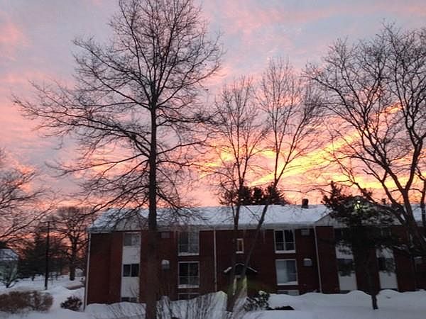 1st image of 2 Birchwood Pt APT 204