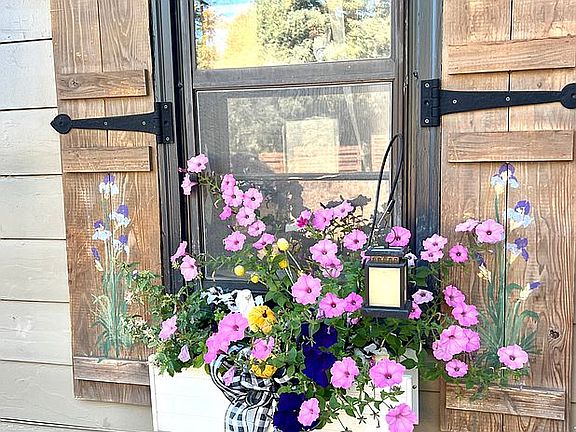 Window boxes & shutters 