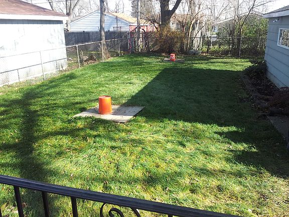 back yard