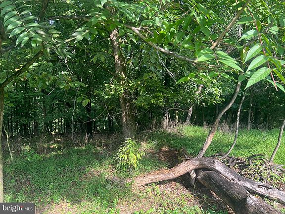 3rd image of 142 Golden Ln