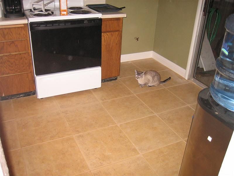 Kitchen Tile Upgrade
