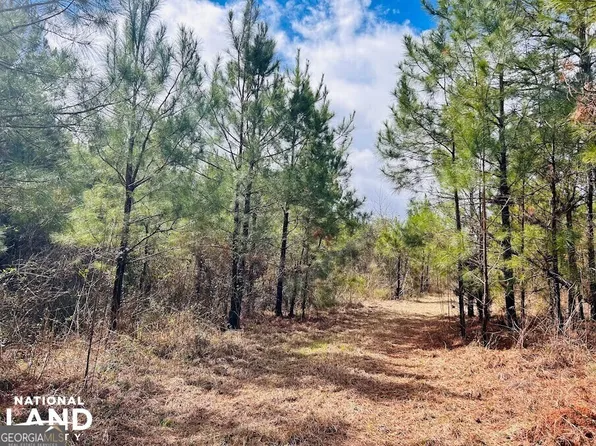 0 State Highway 26 W, Buena Vista, GA 31803