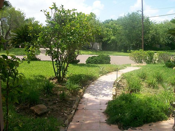 Front Yard