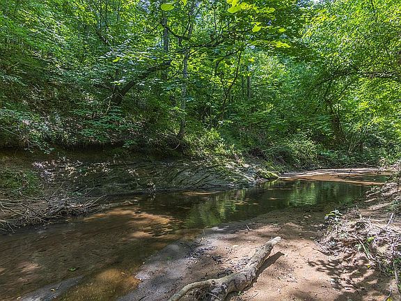 4th image of 81 Horn Creek Ct