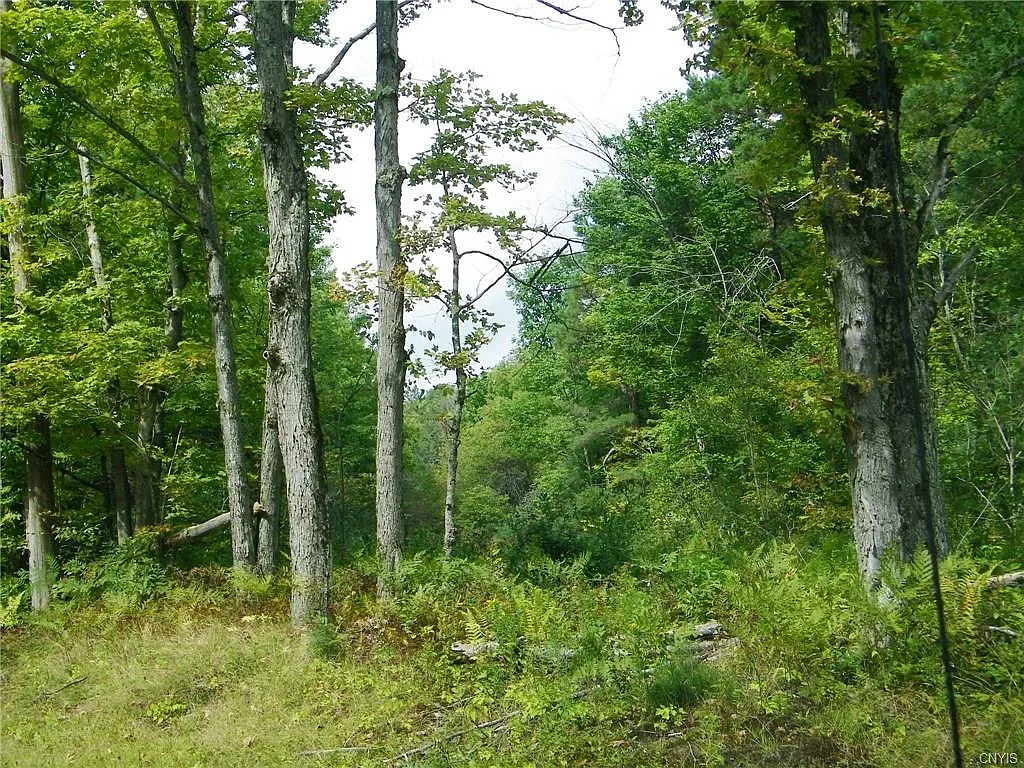 2425 Houlahan Rd #3 photo 1