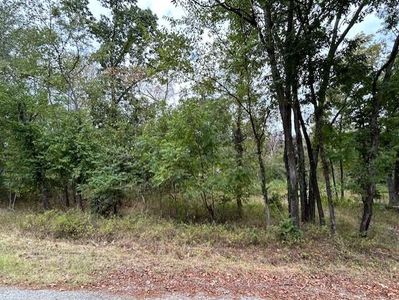 Lot 16 Short Street, Rockaway Beach, MO, 65740