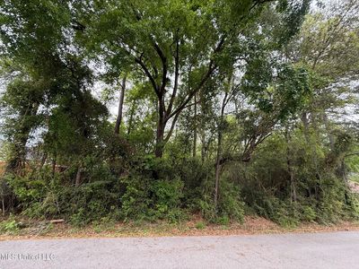 10993 Ala Moana St Lot 20, Diamondhead, MS, 39525