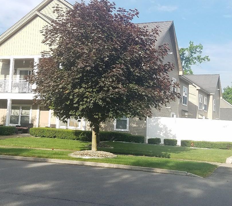 1st image of 287 Jefferson St APT 6