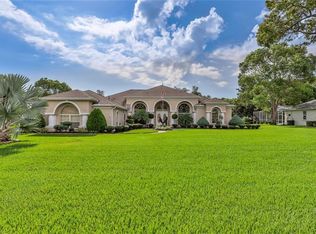 3302 Cilly Ave, Spring Hill, FL 34609