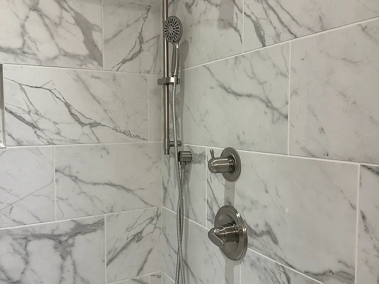 Master Bath Shower Heads