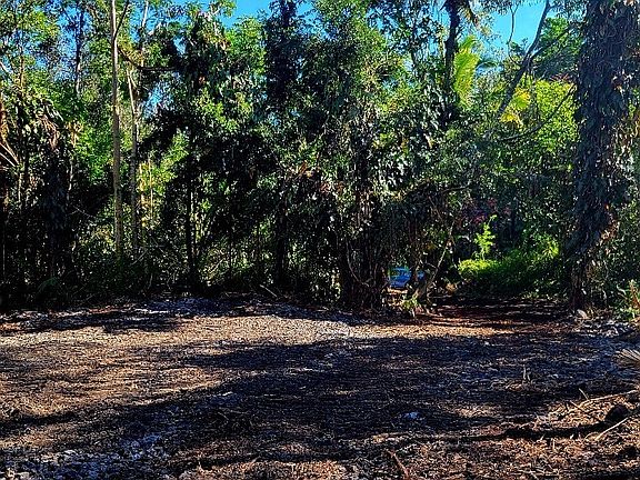 4th image of 37th Ave Lot 13