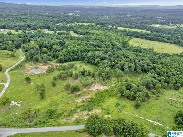 0 Jimmy Thomas Rd, Cullman, AL 35055
