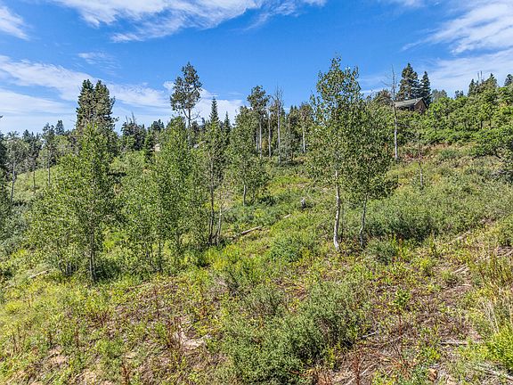 2nd image of 1365 W Navajo Rd