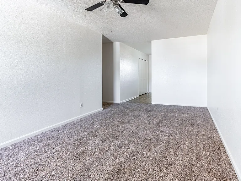 Camellia Trace Apartments — Photo 29