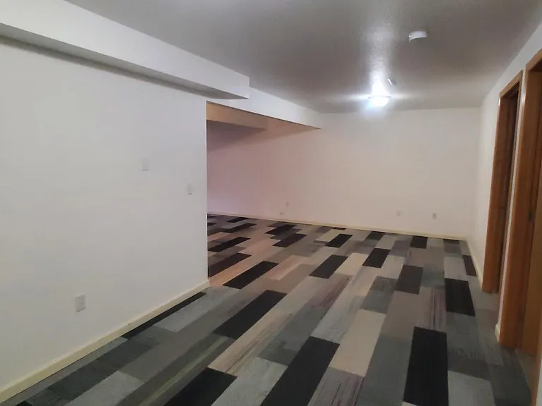 downstairs family room