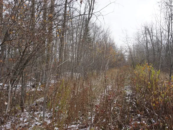 Tbd 430th Ln, McGregor, MN 55760