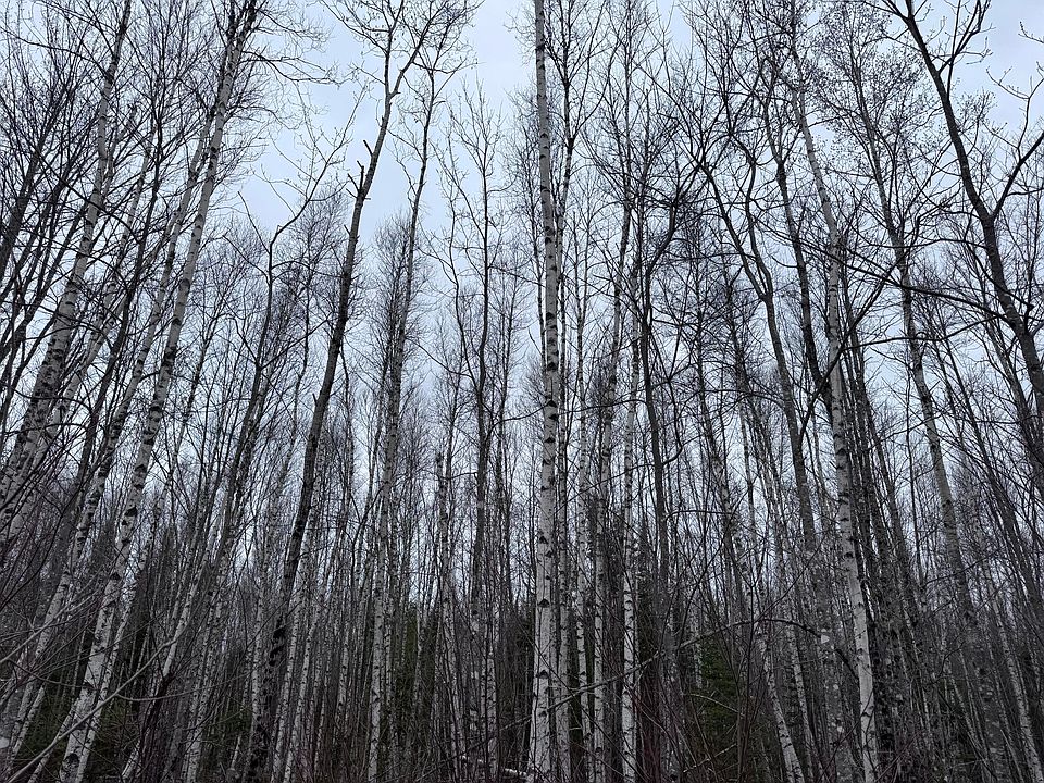 1st image of 36 Otter Trail