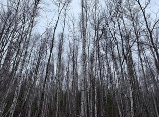 36 Otter Trail, Greenbush, ME 04418