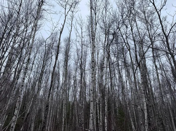 36 Otter Trail, Greenbush, ME 04418