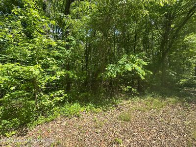0 Bama Park Rd, Dadeville, AL, 36853