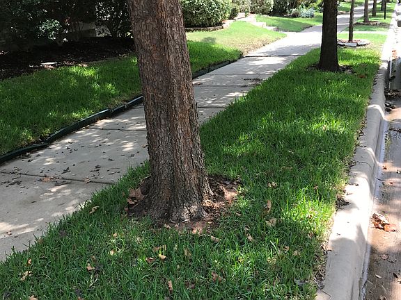 3rd image of 1724 Spanish Moss Way