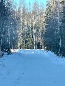 Nhn Kiglowa Dr, Nenana, AK, 99760
