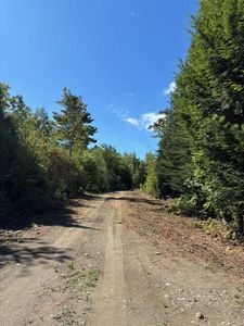 Lot 10 Route 137, Freedom, ME, 04941