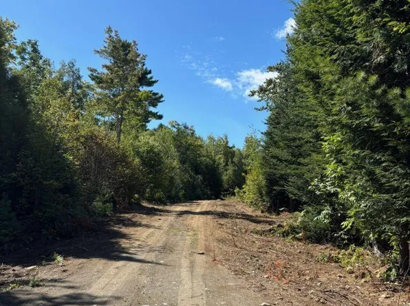 Lot 10 Route 137, Freedom, ME 04941