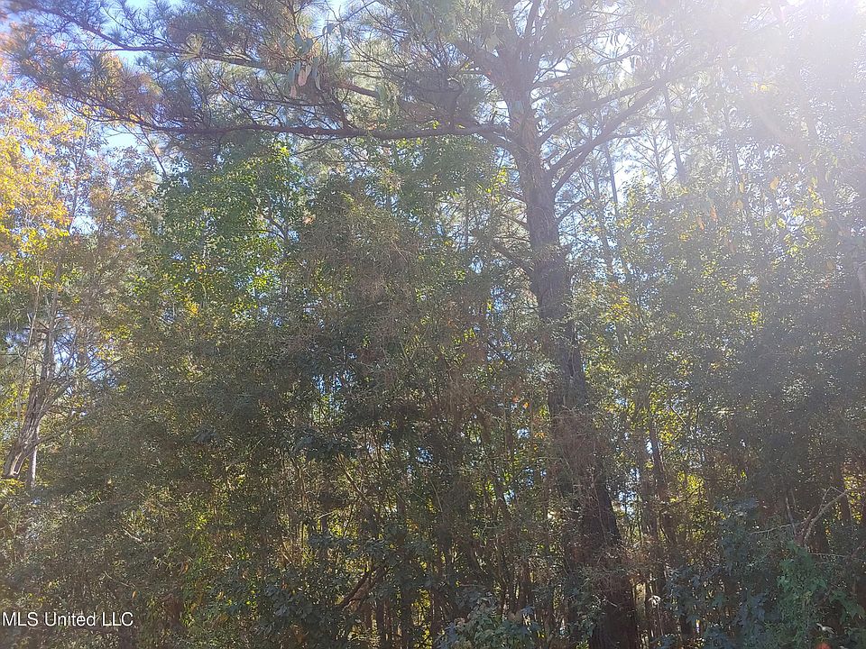 2nd image of 0 W Itawamba St #10