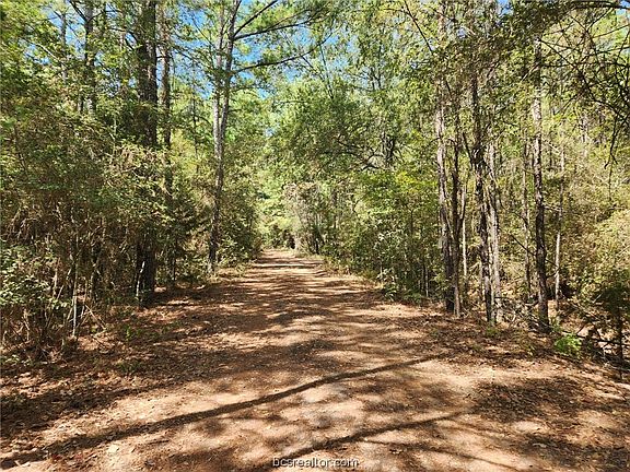 4th image of LOT 25 Honeylocust Ln
