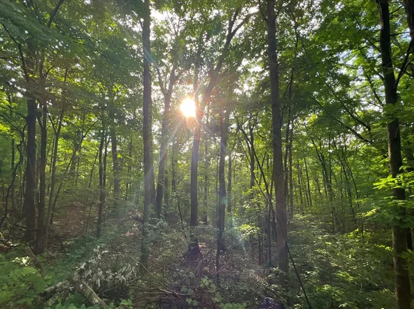 00 Laurel Dr, Marble, NC 28905