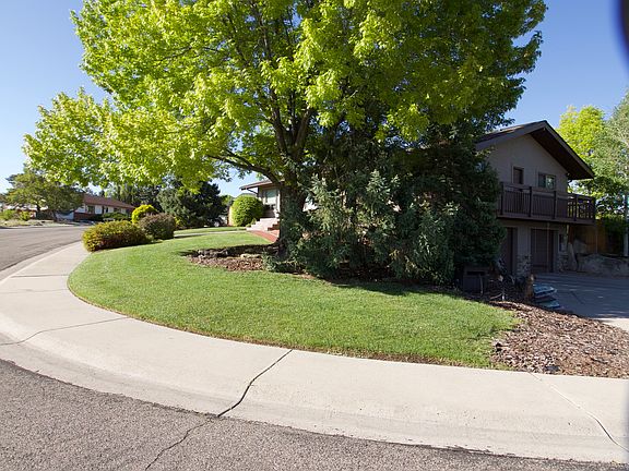 Mature Landscaping
