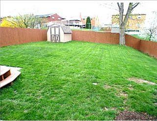 3rd image of 485 Lois Dr