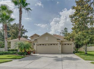 3249 Stonegate Falls Dr, Land O Lakes, FL 34638