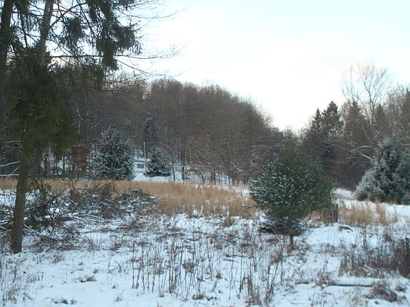 2nd image of 105 Strong Medicine Ln