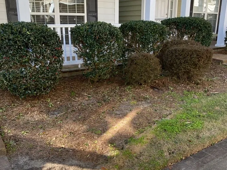 502D Bradwell St — Photo 12