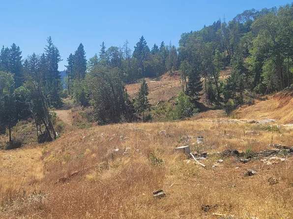 250 Leland Rd, Wolf Creek, OR 97497