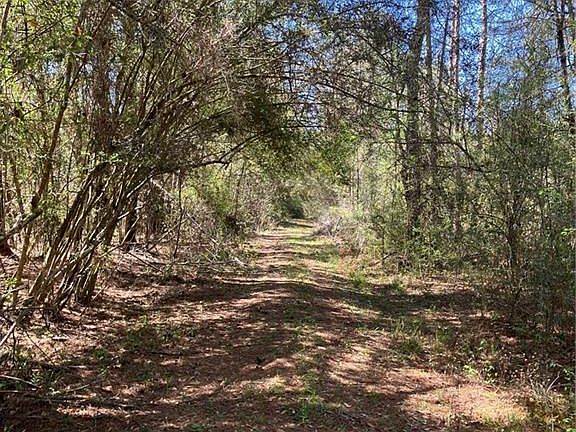 5th image of 49486 Highway 16