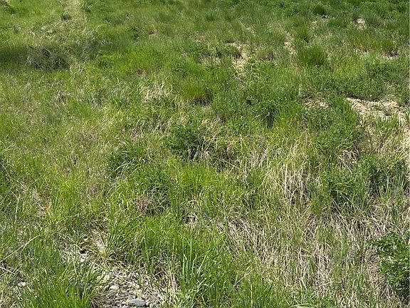 4th image of 3863 Glenn Edward Rd