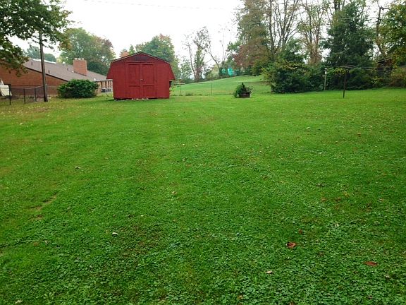 Back yard