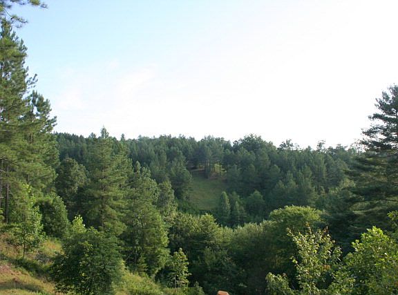 3rd image of 25A Crested Dr