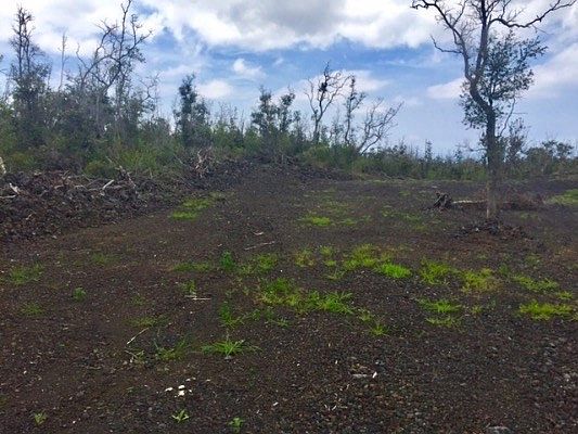 4th image of Coral Pkwy Lot 9